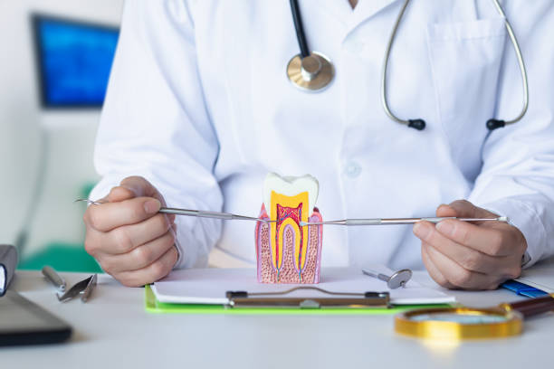 Best Emergency Dentist for Lost Fillings or Crowns in Oak Ridge, NC